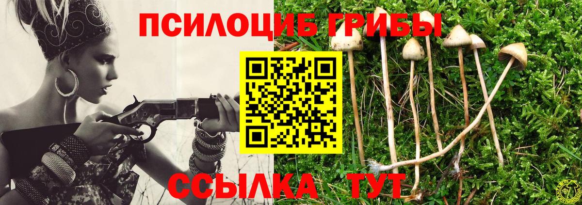 где продают наркотики  Вход с VPN  Каменск-Шахтинский  Галлюциногенные грибы Psilocybe 