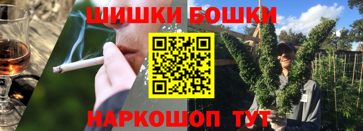 Бошки Шишки план Каменск-Шахтинский